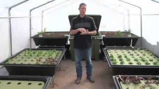 Aquaponics Garden Kits for Your Backyard [upl. by Arathorn]