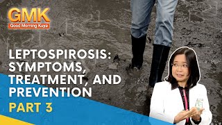 Leptospirosis Symptoms Treatment and Prevention Part 3  Usapang Pangkalusugan [upl. by Mario]