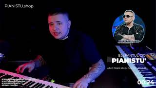 PIANISTU  Elefantul Cici 👉 LIVE 👈 [upl. by Dnomyaw659]