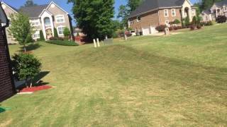 Georgia Heat stressed Bermuda grass [upl. by Aube]