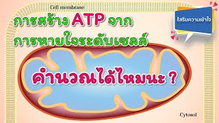 การสร้าง ATP จากการหายใจระดับเซลล์ คำนวณได้ไหมนะ [upl. by Ellenrahs]