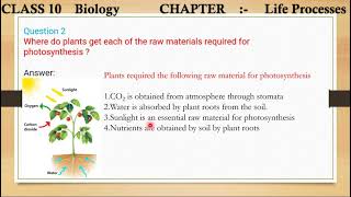 2 Where do plants get each of the raw materials required for photosynthesis [upl. by Bedwell]