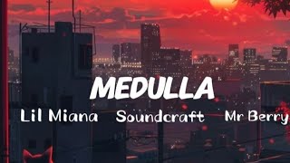 MEDULLA Lyrics  Lil Maina ft Soundcraft amp Mr Berry LYRICS [upl. by Icaj]