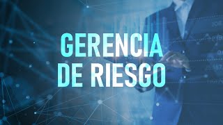 GERENCIA DE RIESGO [upl. by Jacobine]