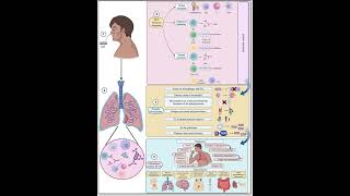 pneumonia vs tuberculosis  Medical Common Sense [upl. by Inahs]