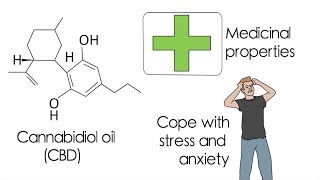 What is CBD  CBD VAPE SHOT [upl. by Pallua638]