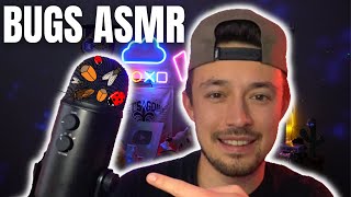 Bugs ASMR  Fast amp Aggressive ASMR  Cr 🐐 SassySoundsASMR [upl. by Fazeli]