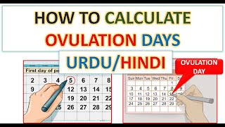 HOW TO CALCULATE OVULATION DAYS IN URDUHINDI  FERTILE DAYS IN HINDI  LENGTH OF CYCLE IN HINDI [upl. by Notneuq394]