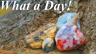 The Yellowstone River is CRAZY Amazing Hunt for Agates Jaspers Ammonites Petrified wood amp More [upl. by Ekrub]