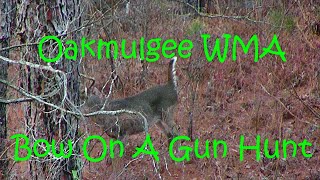 180  Oakmulgee WMA Bow On A Gun Hunt ALABAMA [upl. by Yclehc]