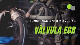 Válvula EGR funcionamiento averías y cómo cambiar la EGR [upl. by Ynna]