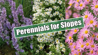 Gardening on Slopes Here Are 10 Perennials for Sun and Shade [upl. by Euqina]