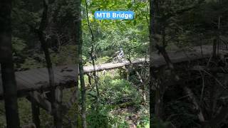 Mtb bridge mtb mountainbiking mountainbike [upl. by Thurmond621]