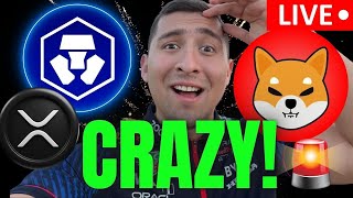 EPIC SHIBA INU LIVE🔴Cronos Bitcoin Crypto NEWS [upl. by Analem]