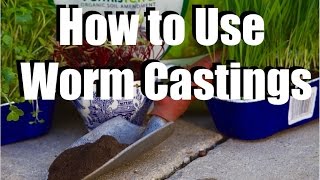 Using Worm Castings in Your Garden  What Why How  Feeding Your Garden 1 [upl. by Pussej199]