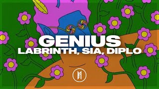 LSD  Genius ft Sia Diplo Labrinth  Sub Español [upl. by Rialb]