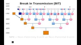 GCG2016  DNA of the Gleeson Clan Maurice Gleeson [upl. by Cybill]