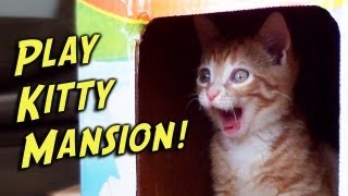 PlayKitty Mansion [upl. by Fifi]