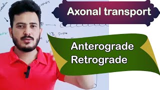 axonal transportaxoplasmic transportaxoplasmic flowmdcat neet biology [upl. by Aenaj]