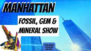 Manhattan Fossil Gem Mineral Show [upl. by Chari]