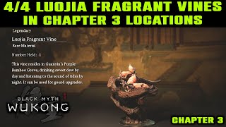 All 4 Luojia Fragrant Vines Locations CHAPTER 3  Secret  Gourd Upgrade Item  Black Myth Wukong [upl. by Cirdec]