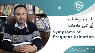 Understanding Frequent Urination Causes amp Treatments with Dr Fowaad Shehzaadquot in Urdu [upl. by Nosloc734]