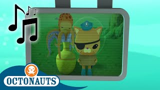 Octonauts  Octopus and Others  Cartoons for Kids  Creature Reports [upl. by Zobkiw672]