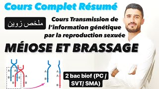 Cours complet Transmission de l’information génétique par la reproduction sexuée Méiose  Brassage [upl. by Ekul]