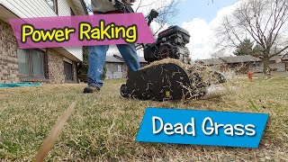 Power Raking Dead Grass  Spring Lawn Care is Here [upl. by Aihsenak]