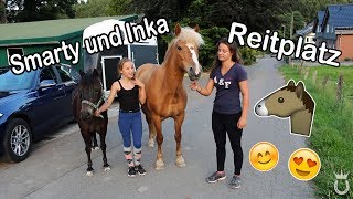 WIR GEHEN REITEN UND SPRINGEN AUF DEM PLATZ  Schwester wieder da  Marina und die Ponys [upl. by Ameg990]