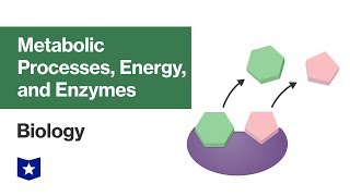 Metabolic Processes Energy and Enzymes  Biology [upl. by Harley]