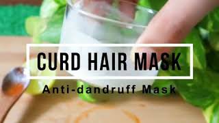 CURD HAIR MASK  FOR DANDRUFF AND DRY SCALP 💆 [upl. by Daniell]