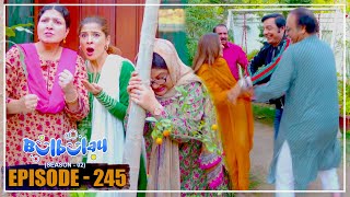 Bulbulay Season 2 Episode 245  Ayesha Omar amp Nabeel [upl. by Lugo]