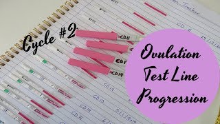 Ovulation Test Line Progression  Cycle 2 TTC Baby 2 [upl. by Yecak]