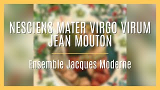 NESCIENS MATER VIRGO VIRUM  JEAN MOUTON  ENSEMBLE JACQUES MODERNE [upl. by Ellehcrad]