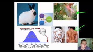 Advanced Classical Genetics Part 3 Genetic Relationships Part 2 [upl. by Maibach]