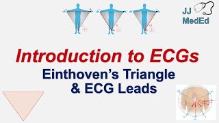 Introduction to ECG  The Basics  Einthoven’s Triangle Limb Augmented and Precordial Leads [upl. by Nisse]