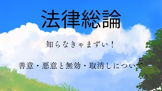 【法律総論】善意と悪意、無効と取消しについて [upl. by Aivlis]