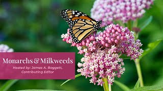 Monarchs and Milkweeds  Garden Gate Seminars [upl. by Alaehs866]