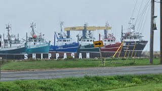 A Walking Tour of Shippagan New Brunswick [upl. by Adnara]