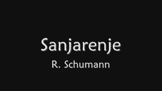 R Schumann Sanjarenje [upl. by Nylek]