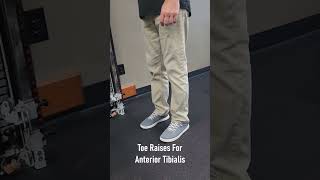 Toe Raises For Anterior Tibialis [upl. by Ynehteb]