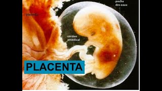 Vidéo N° 11 Term ST2S Placenta 7 mars 2021 [upl. by Aitnahc]