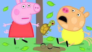 Peppa Pig and the Climbing Tortoise  Peppa Pig Official Family Kids Cartoon [upl. by Jack]