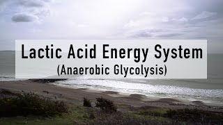 Lactic Acid Energy System [upl. by Yelik]