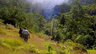 Zapotal Ecovillage in Costa Rica [upl. by Tut758]