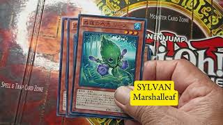 YUGIOH OCG CORE DECK SYLVAN DECK [upl. by Bullough875]