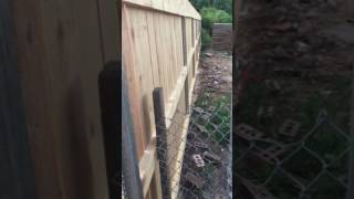 PostMaster Posts Privacy Fence Installation In Denver CO [upl. by Nae48]