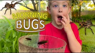 MORNING BUG HUNT for REAL Bugs LIZARD Spiders Roly Polys EARWIGS Toads WORMS amp MORE for KIDS [upl. by Enelym]