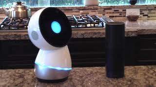 Jibo v Alexa Personality Test [upl. by Charleen]